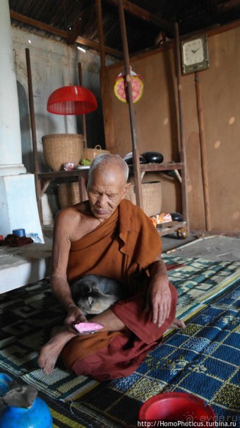 Монахи Мьянмы — больше, чем монахи