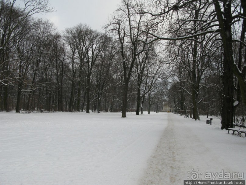 По зимней Варшаве