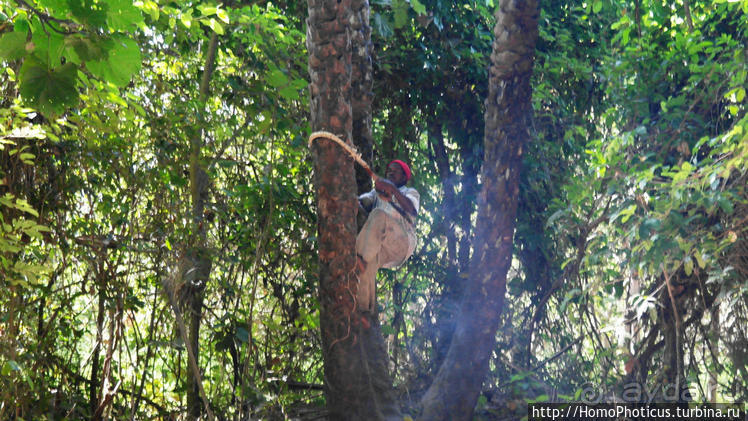 Сенегамбия. III. На разных берегах