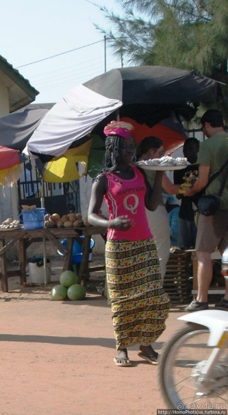 Сенегамбия. III. На разных берегах