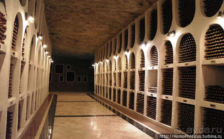 Бессарабский экспресс