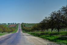 Бессарабский экспресс