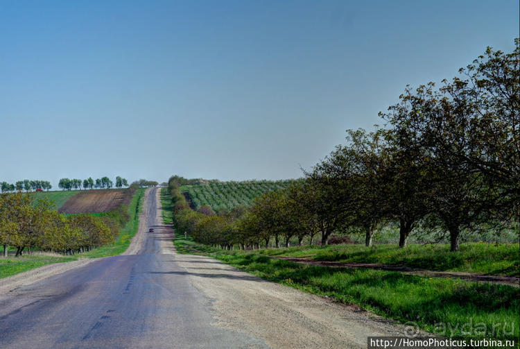 Бессарабский экспресс