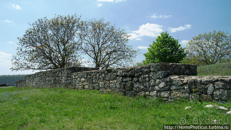 Бессарабский экспресс