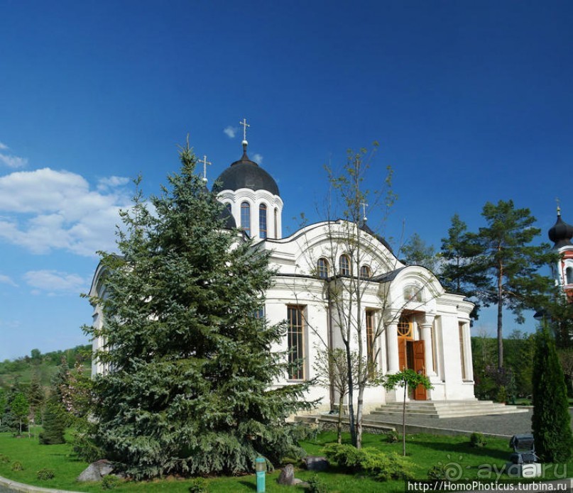 Бессарабский экспресс