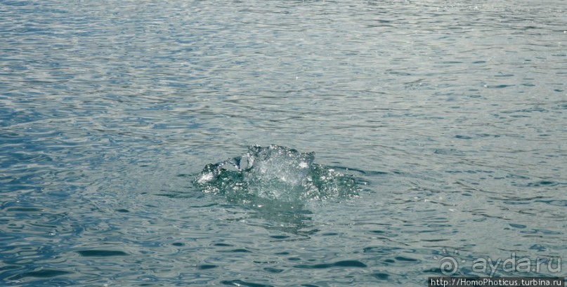 Микро-Антарктида