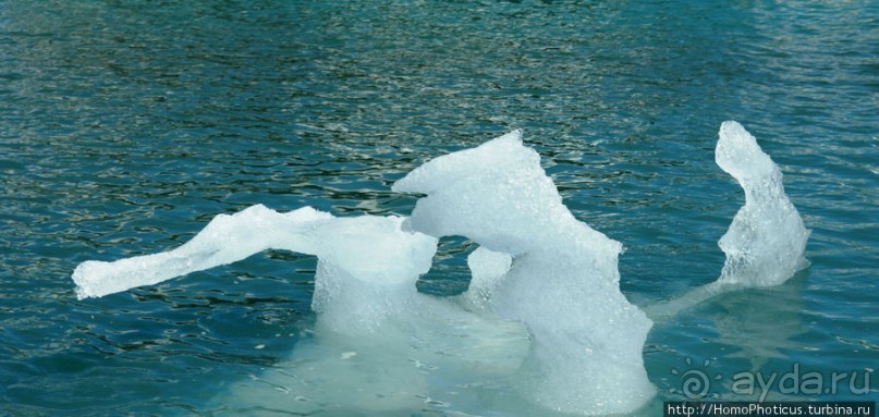 Микро-Антарктида