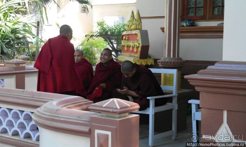 Покормить монахов