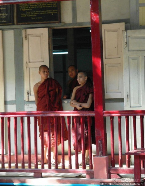 Покормить монахов