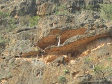 Первое знакомство с Сокотрой. Ущелье Айхевт