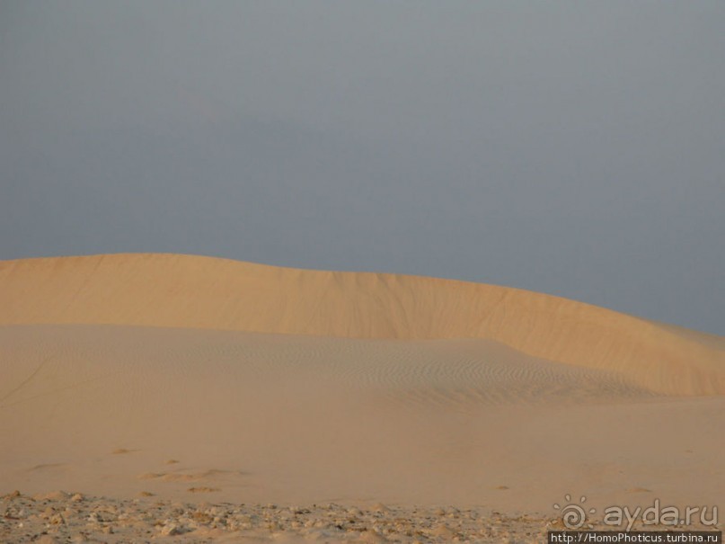 Первое знакомство с Сокотрой. Ущелье Айхевт