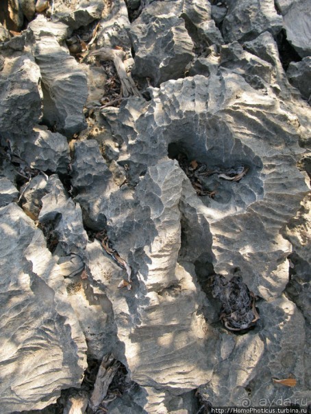 Первое знакомство с Сокотрой. Ущелье Айхевт