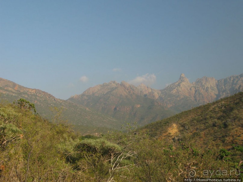 Первое знакомство с Сокотрой. Ущелье Айхевт