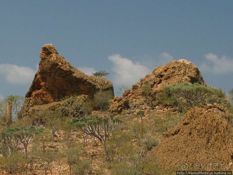 Первое знакомство с Сокотрой. Ущелье Айхевт
