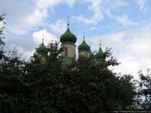 Преславный за лесом