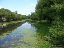 Преславный за лесом