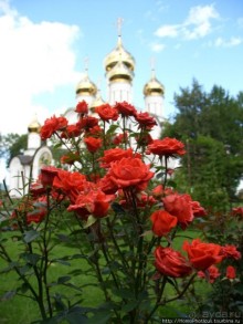 Преславный за лесом