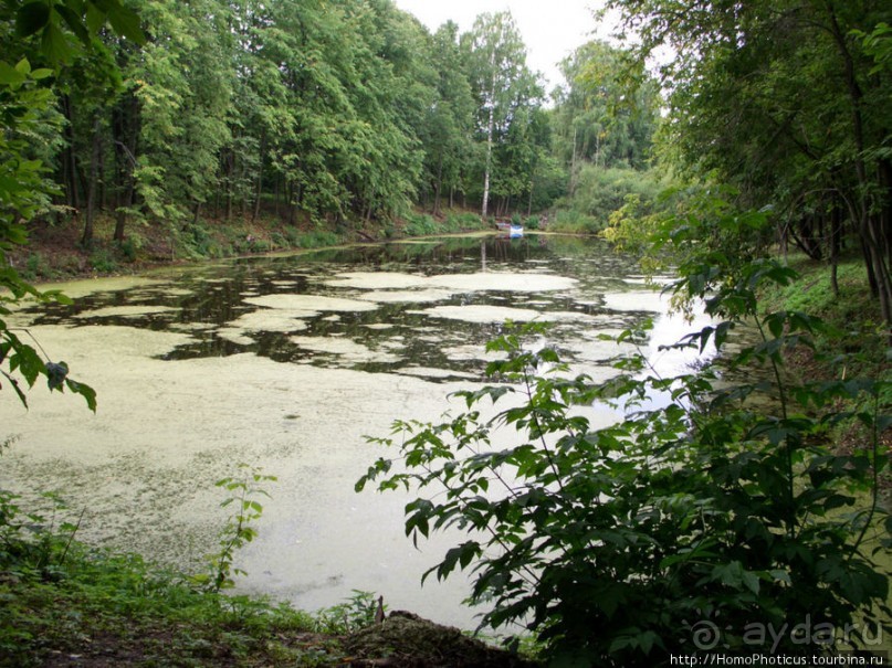 Преславный за лесом