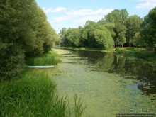 Преславный за лесом