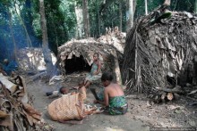 Пигмеи бака. Заповедник Джа, деревня маленьких людей