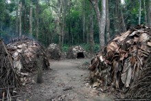 Пигмеи бака. Заповедник Джа, деревня маленьких людей