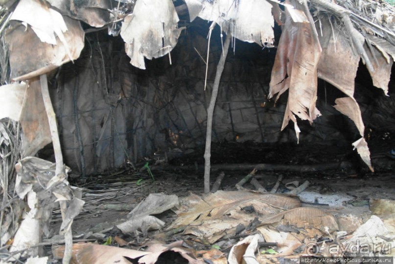 Пигмеи бака. Заповедник Джа, деревня маленьких людей