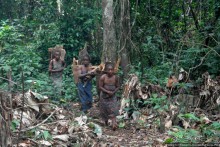 Пигмеи бака. Заповедник Джа, деревня маленьких людей