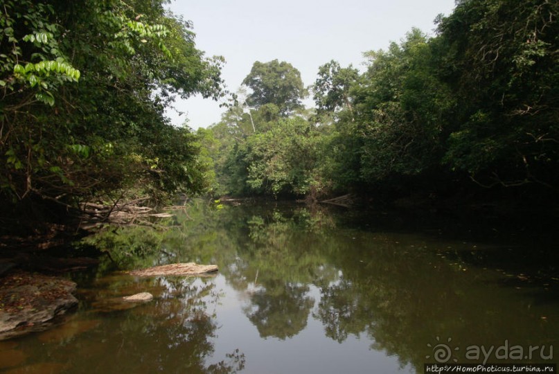 Пигмеи бака. Заповедник Джа, деревня маленьких людей
