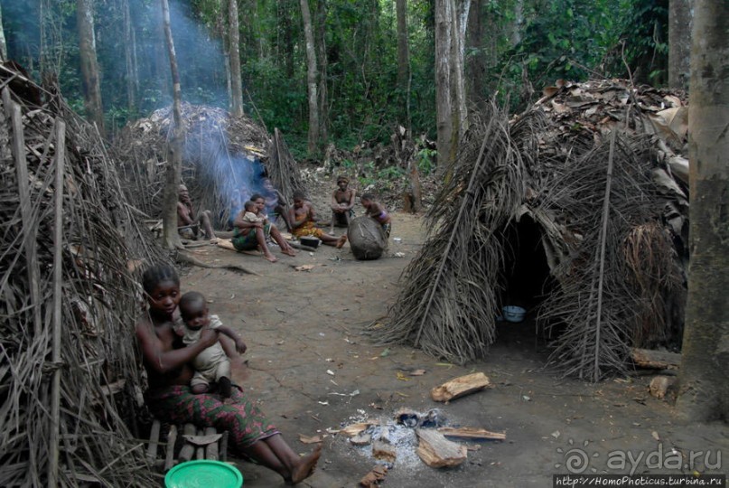 Пигмеи бака. Заповедник Джа, деревня маленьких людей