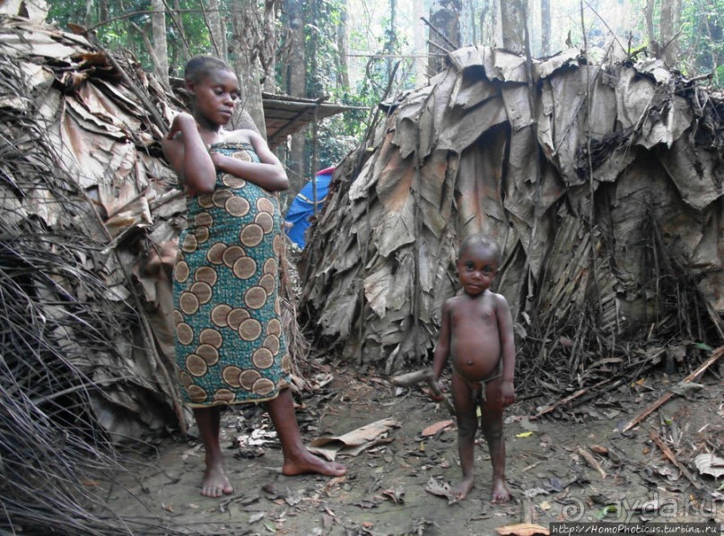 Пигмеи бака. Заповедник Джа, деревня маленьких людей