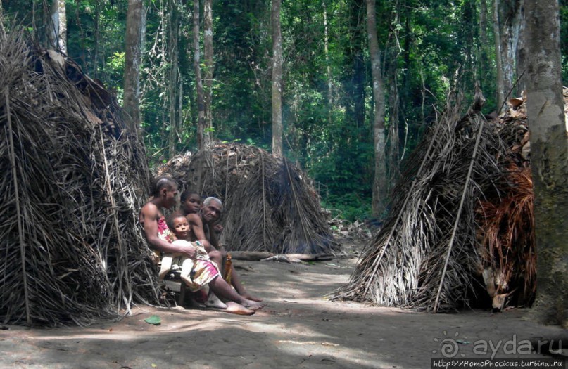 Пигмеи бака. Заповедник Джа, деревня маленьких людей