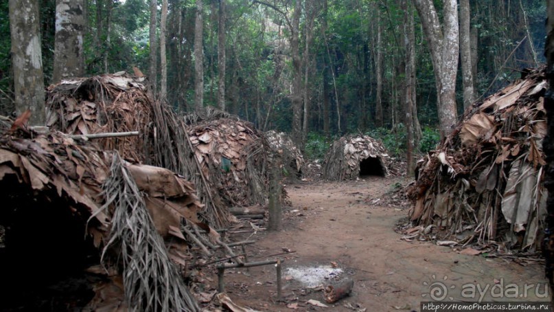 Пигмеи бака. Заповедник Джа, деревня маленьких людей