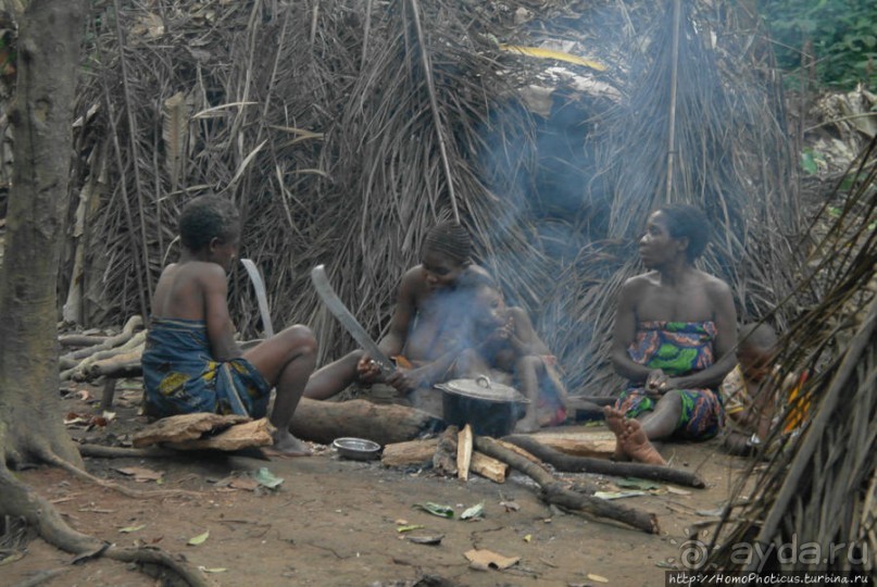 Пигмеи бака. Заповедник Джа, деревня маленьких людей