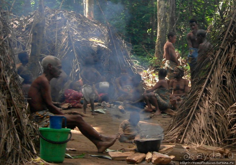 Пигмеи бака. Заповедник Джа, деревня маленьких людей