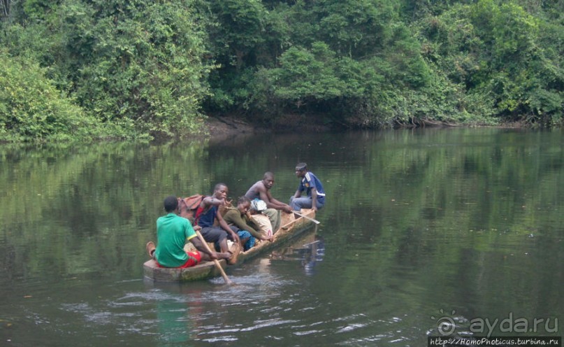 Пигмеи бака. Заповедник Джа, деревня маленьких людей
