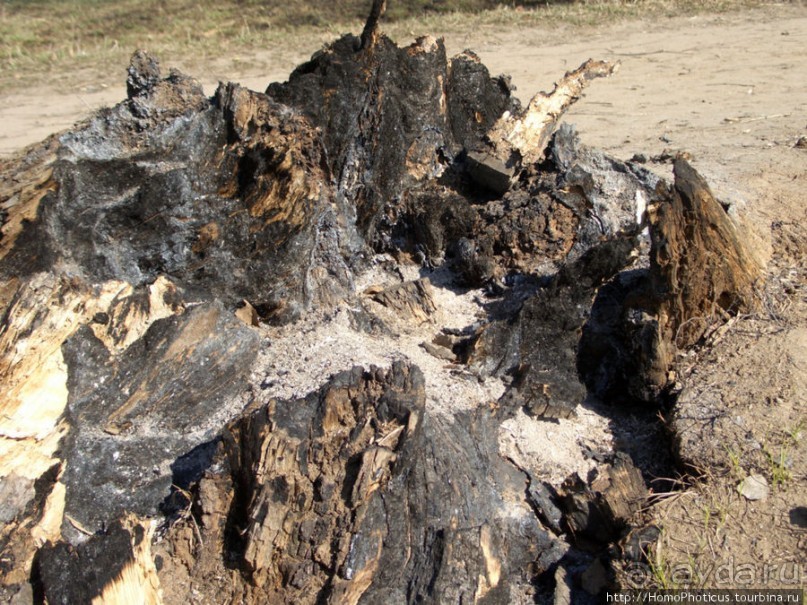 Место творчества