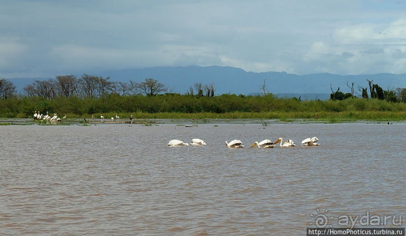 Дикий мир озера Чамо