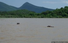 Дикий мир озера Чамо