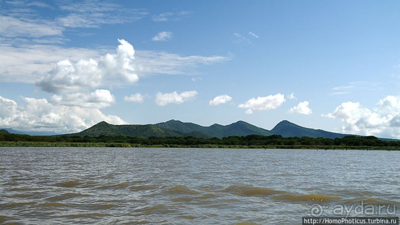 Дикий мир озера Чамо