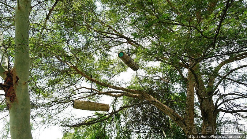 Дикий мир озера Чамо