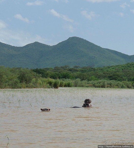 Дикий мир озера Чамо