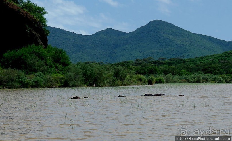 Дикий мир озера Чамо