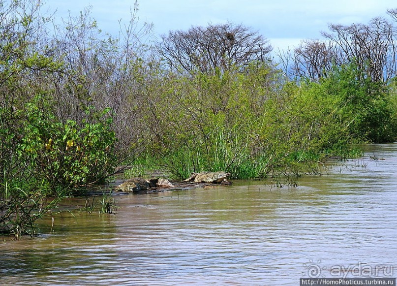 Дикий мир озера Чамо