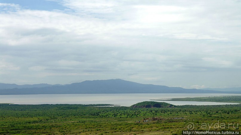 Дикий мир озера Чамо