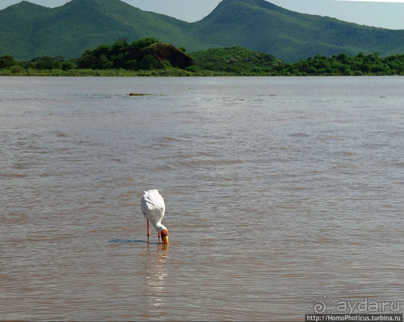 Дикий мир озера Чамо