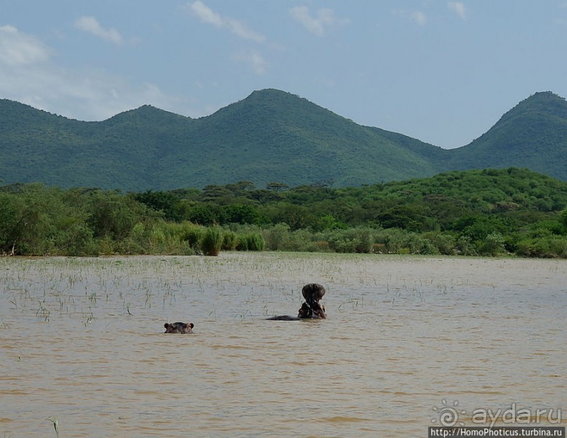 Дикий мир озера Чамо
