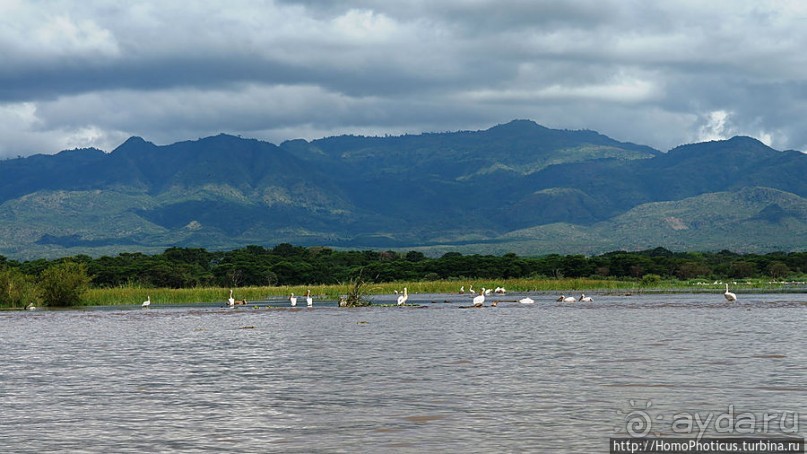 Дикий мир озера Чамо