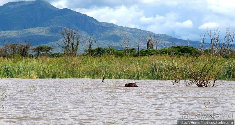 Дикий мир озера Чамо