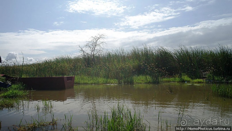 Дикий мир озера Чамо