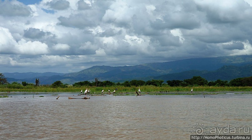 Дикий мир озера Чамо